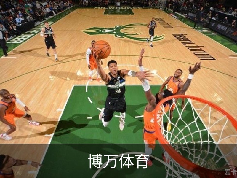 博万体育概况